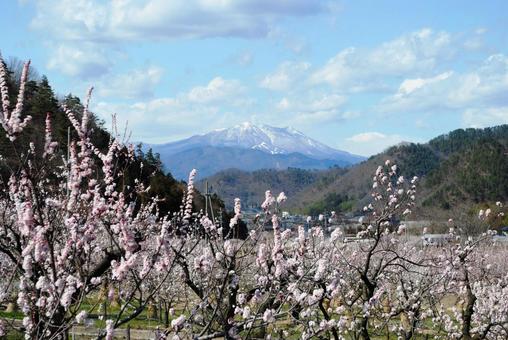 Photo, shinshu, chikuma-shi, anzu no sato, 