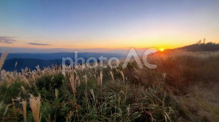 生石高原の夕日のすすき すすき,夕日,壁紙の写真素材