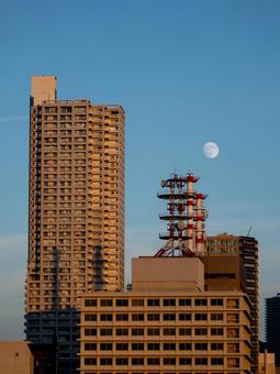 名月 名月 名月,お月見,夕方の写真素材
