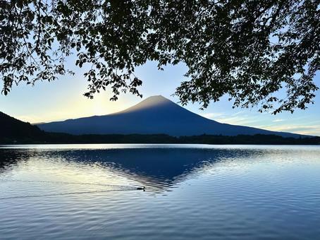 田貫湖と富士山 富士山,田貫湖,湖の写真素材