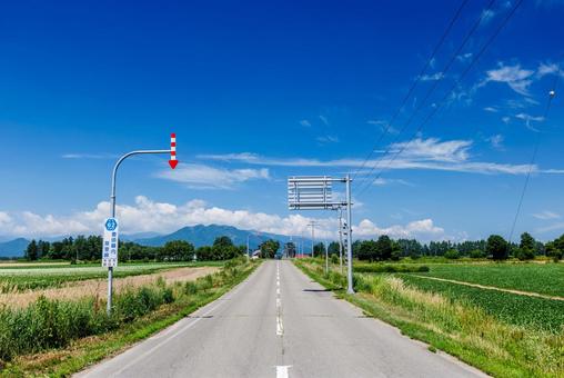 青空と一本道 青空と一本道 青空と一本道,道,直線の写真素材