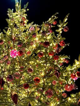 クリスマスイルミネーション クリスマス,クリスマスツリー,イルミネーションの写真素材