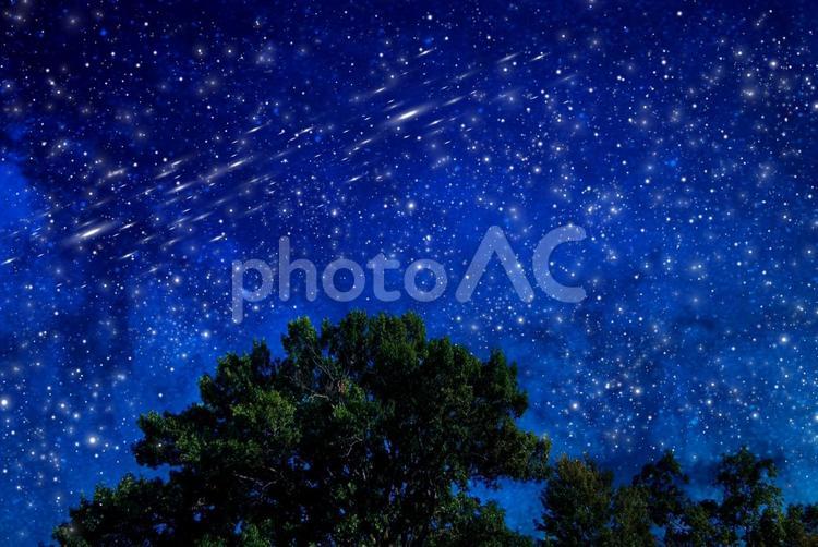 森の中の夜更け 夜更け,夜,夜中の写真素材