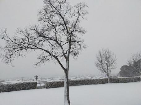 朝の静かな風景 朝の静かな風景の写真