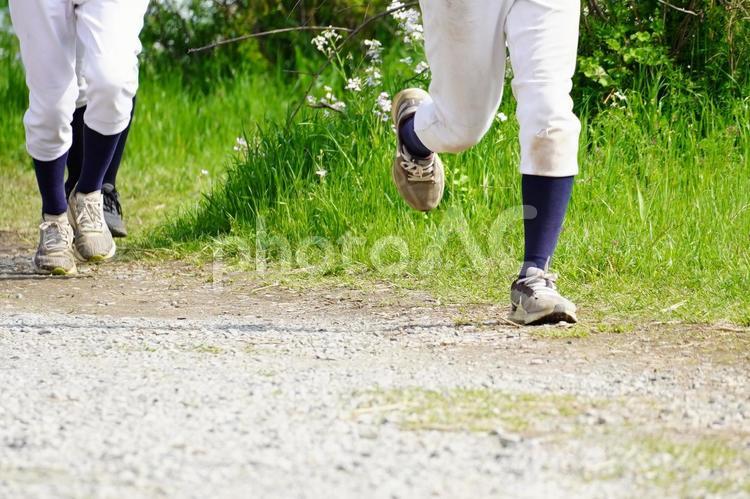 ユニフォームを着てランニングする野球部員 野球,野球部,野球部員の写真素材