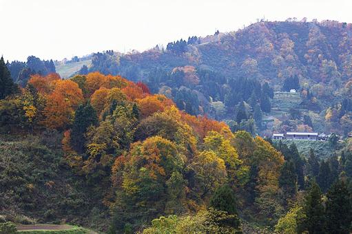 25年　山古志紅葉 山,霧,靄の写真素材
