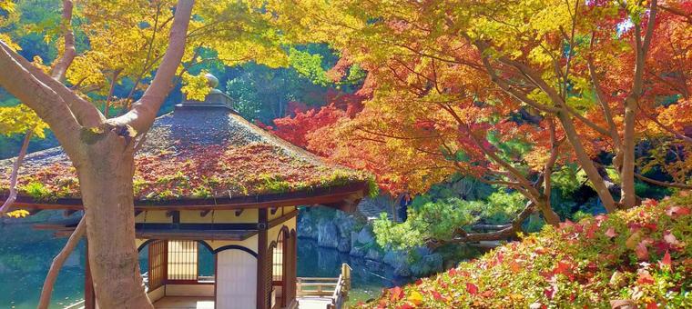 和歌山城と紅葉の日本庭園 和歌山城と紅葉の日本庭園 紅葉,和歌山城,庭園の写真素材