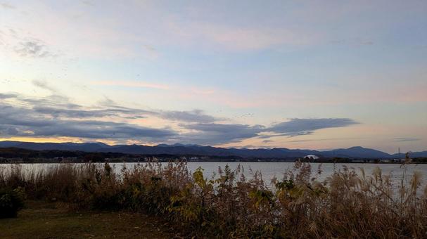 石川県の潟湖木場潟の夜明け 潟湖,湖,木場潟の写真素材