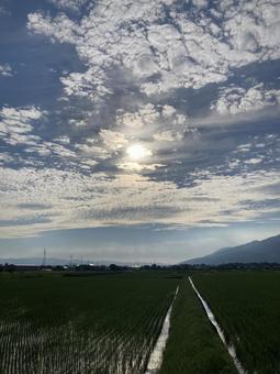 夏の太陽と空と雲と緑(縦) 夏の太陽と空と雲と緑(縦)の写真