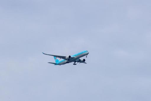 灰色の空、緑の下 灰色の空、緑の下 飛行機,航空機,旅客機の写真素材