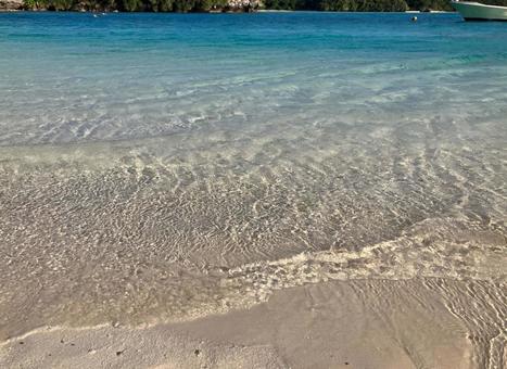 川平湾 透き通った水辺 川平湾 透き通った水辺の写真
