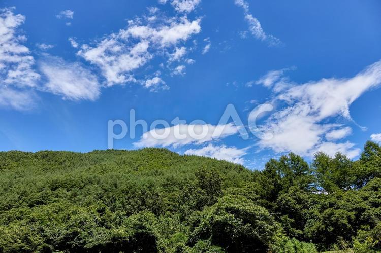 夏、里山の風景 夏,里山,山の写真素材