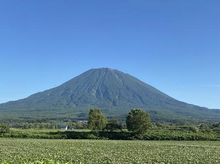 緑の羊蹄山 緑の羊蹄山 北海道,山,羊蹄山の写真素材