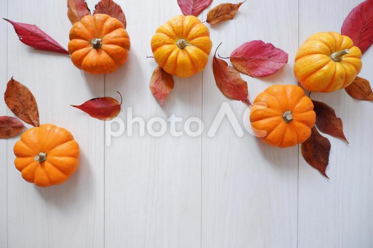 秋の紅葉、かぼちゃのデコレーション背景 秋,カボチャ,紅葉の写真素材