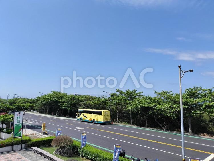 墾丁 屏鵝公路 墾丁,屏鵝公路,道路の写真素材
