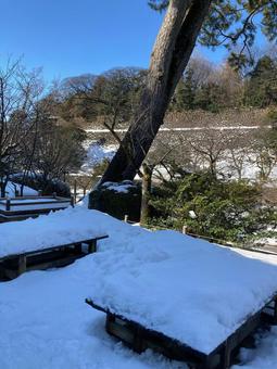 兼六園 兼六園 雪景色,雪,真っ白の写真素材