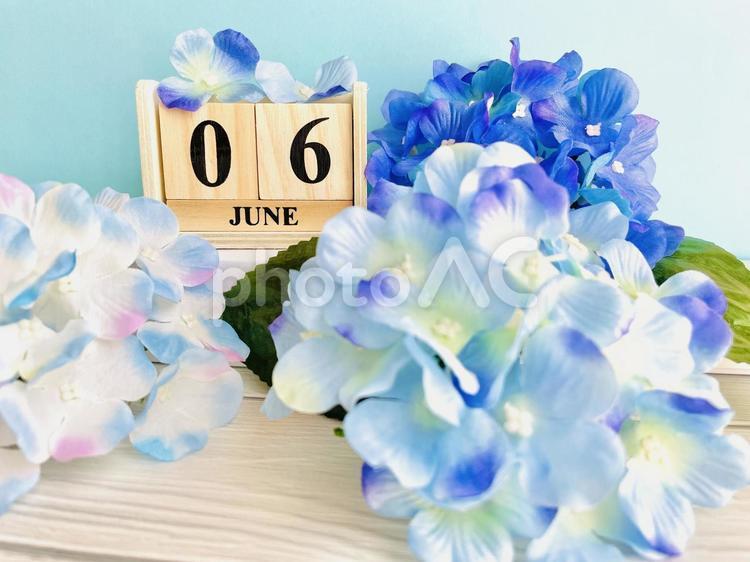 6月　アジサイ 6月,アジサイ,カレンダーの写真素材