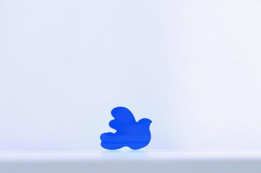 Photo, bird, colorful, piece, 