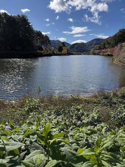 晩秋の小坂田池（長野県塩尻市） 小坂田池,池,pondの写真素材