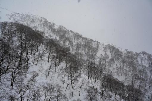 谷川岳ロープウェイから見た景色 谷川岳ロープウェイから見た景色の写真