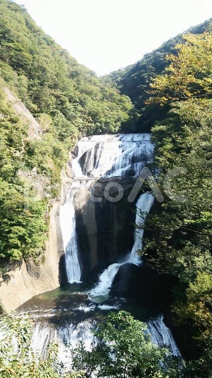 袋田の滝(茨城県) 袋田の滝,茨城県,自然の写真素材
