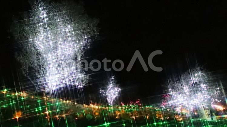 冬のイルミネーション　2024　81 クリスマス,冬,イルミネーションの写真素材