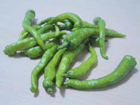 Photo, vegetables, summer vegetables, shishito, 