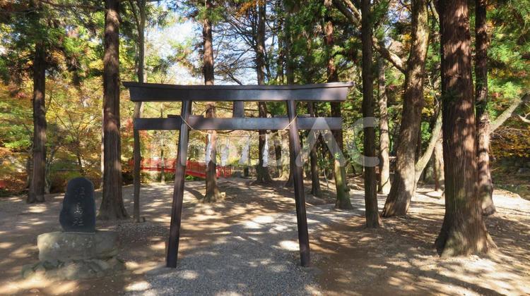 諏訪大社　下社　春宮　浮島社の鳥居 諏訪大社,下社,春宮の写真素材