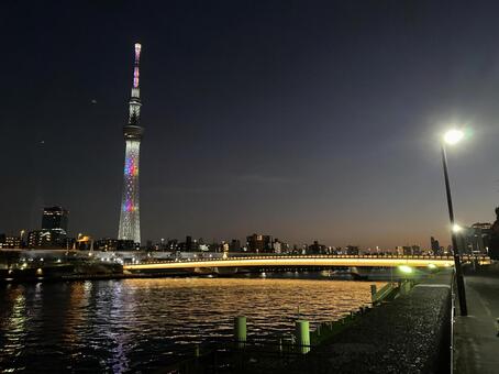 隅田川から見えるスカイツリーの夜景 隅田川,スカイツリー,夜景の写真素材