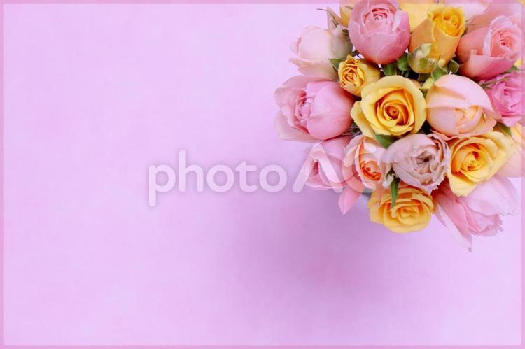 ピンクやイエローのバラ花束素材 花,ピンク,バラの写真素材