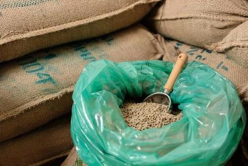 Raw coffee beans procured from Ethiopia Raw coffee beans procured from Ethiopia