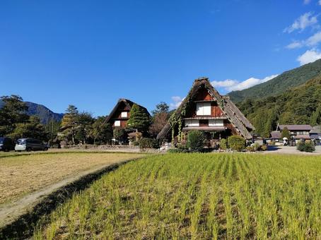 白川郷 白川郷の写真