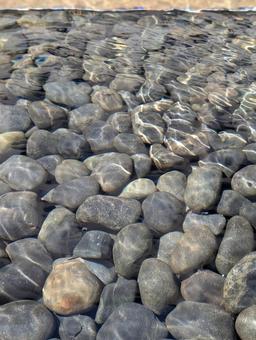 水底の石 光の波紋 水底の石 光の波紋の写真