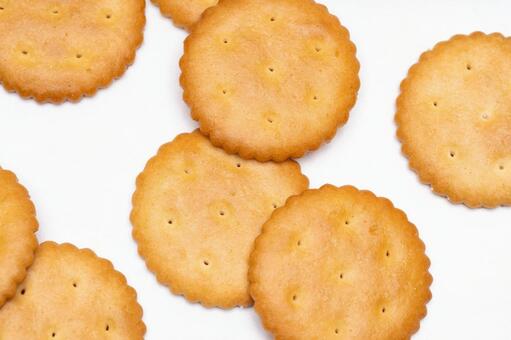 白背景に並ぶサクサク食感のクラッカー クラッカー,丸型,焼き色の写真素材