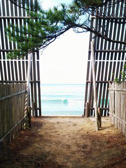 もう、そこは海! もう、そこは海!の写真