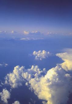 Photo, sea of ​​clouds, cloud, airplane, 