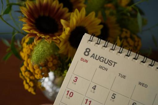 8月のカレンダーとひまわり 8月のカレンダーとひまわり カレンダー,ひまわり,夏の写真素材
