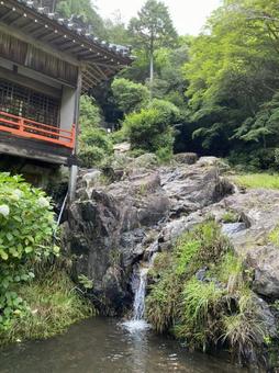 西方院の庭園 西方院の庭園の写真
