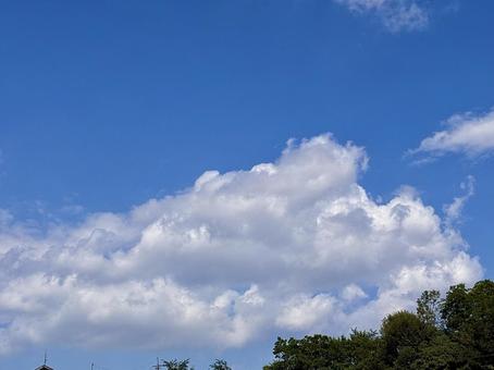【風景写真】夏空 【風景写真】夏空の写真