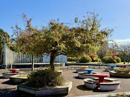 秋の昼間　福井少年運動公園 パーゴラ,ベンチ,秋の写真素材