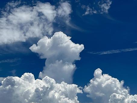 真夏の青空 青空,夏,白い雲の写真素材