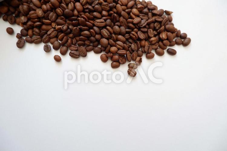 白い背景にクローズアップのコーヒー豆 コーヒー豆,コーヒー,粒の写真素材