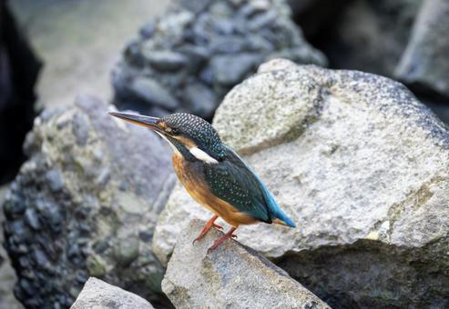 ひとやすみの写真