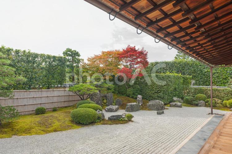 錦秋・京都絵巻！大徳寺塔頭・興臨院の紅葉 和風,紅葉,秋の写真素材