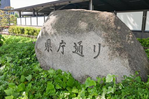 県庁通り 県庁通りの写真