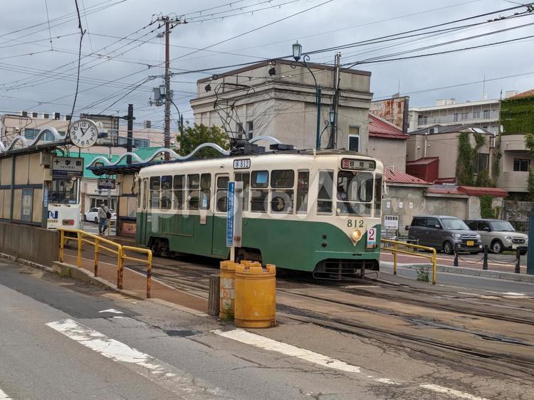 函館の路面電車 路面電車,函館,電車の写真素材