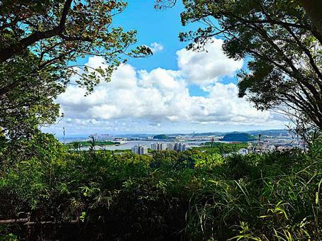 称名寺市民の森・八角堂広場からの眺望 称名寺市民の森,八角堂広場,眺望の写真素材