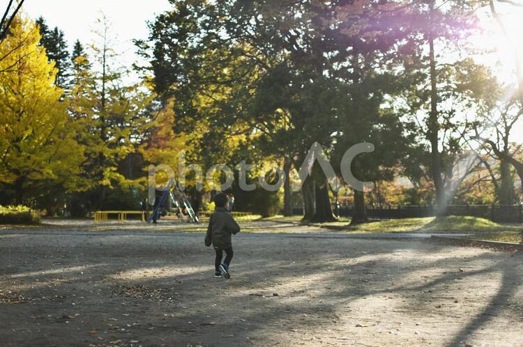 紅葉イメージ（子供の後ろ姿）2 紅葉,子供,後ろ姿の写真素材