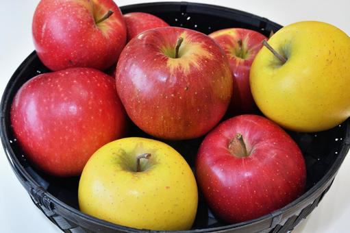 4種のリンゴ集合写真② リンゴ,りんご,果物の写真素材