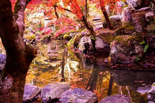 秋風景 秋風景の写真